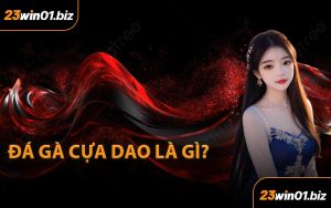 Đá gà cựa dao là gì?
