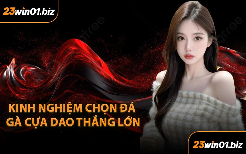 Kinh Nghiệm Chọn Đá Gà Cựa Dao Thắng Lớn