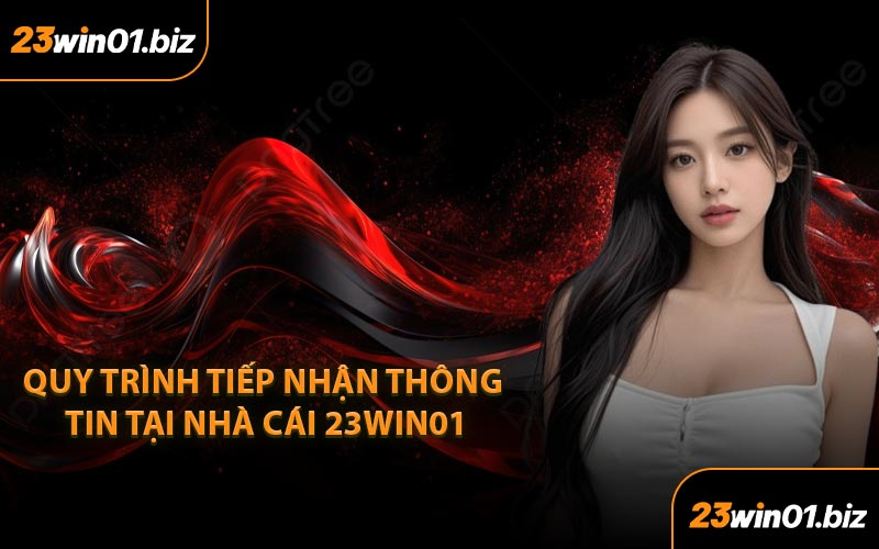 Quy Trình Tiếp Nhận Thông Tin Tại Nhà Cái 23Win01