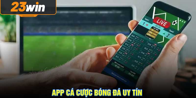 App Cá Cược Bóng Đá Uy Tín