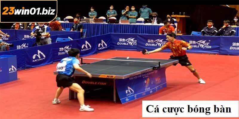 Cá Cược Bóng Bàn