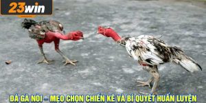 Đá Gà Nòi